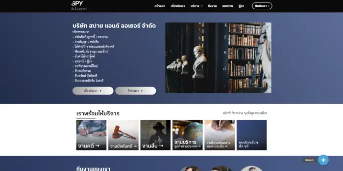 Spylawyers - portfolio